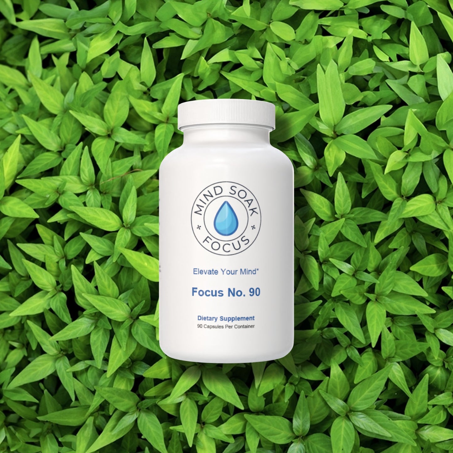 Focus No. 90 – Natural Supplement to Support Mental Clarity, Energy & Concentration