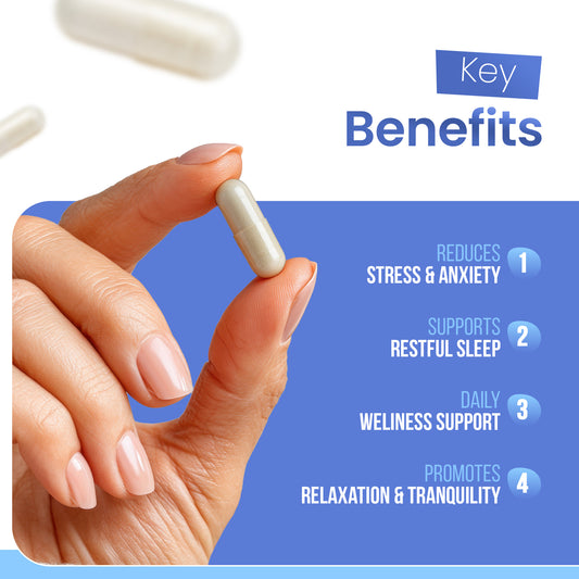 Calm No. 41: Support for a Settled Nervous System