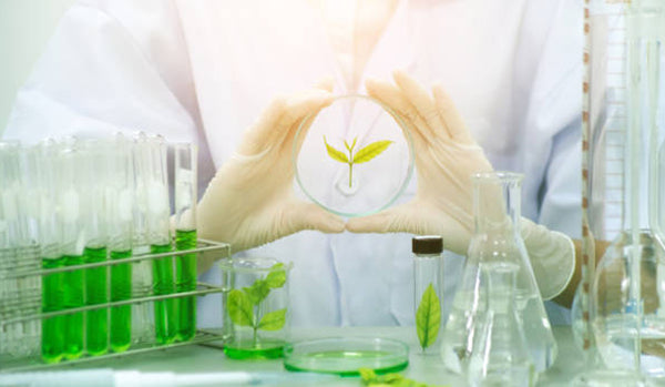 Mind Soak: The Progressive Approach to Mental Wellness