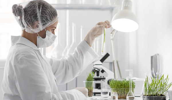 The Gut-Brain Connection: Why Brain Health Is Mental Health